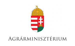 KÖZLEMÉNY 