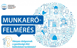 munkaero-felmeres