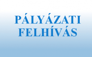 Pályázati 