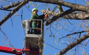 forgalomkorlatozas_20251114