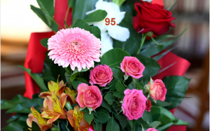 95 évest k