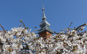 bataszeki_bornapok_2018