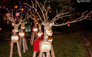 bataszeki_bornapok_2018